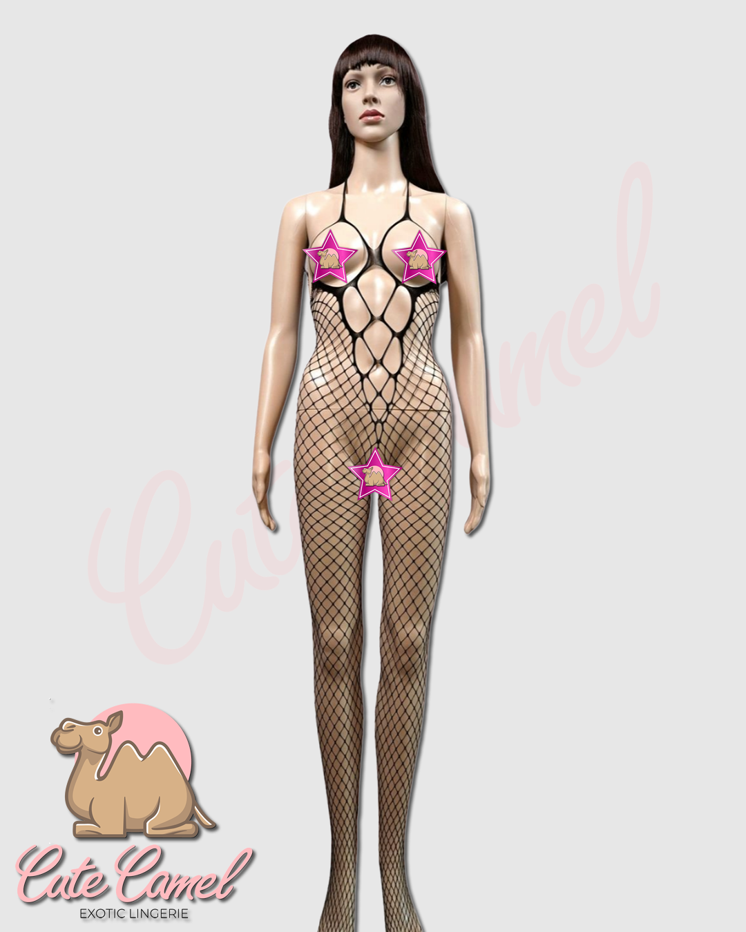CC Exotic Daring Desire Fishnet Bodysuit ~ Black